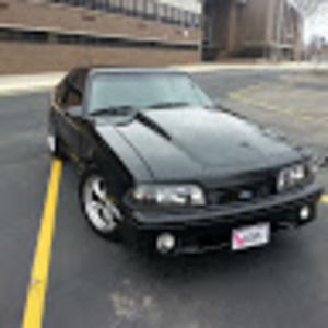 Meet your Posher, Bird